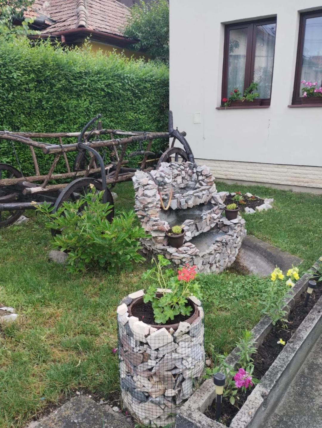 Casa Darius Cluj Leilighet Eksteriør bilde